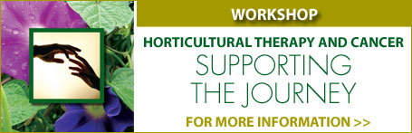 HT Institute Workshop